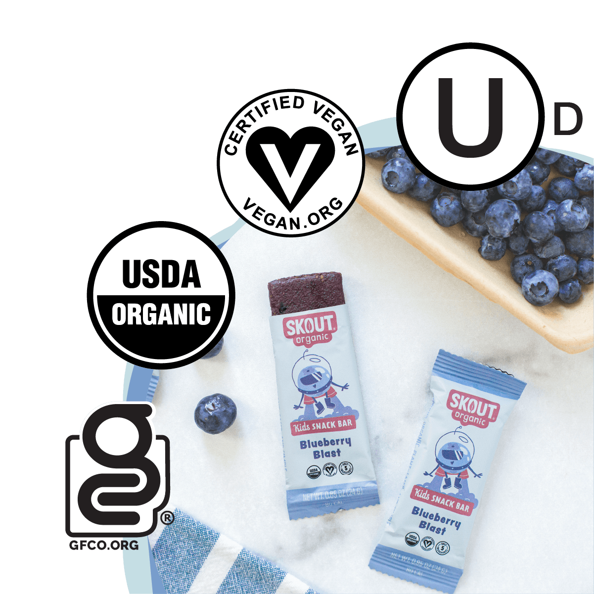 Skout Organic Blueberry Blast Kids Bars (1 Box, 6 bars)