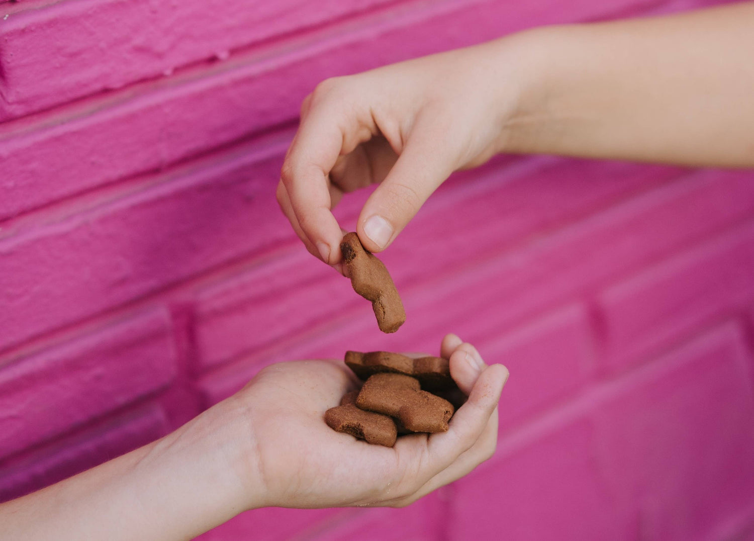 Sweet and Simple Valentine's Day Snacks for Your Little Loves 💕