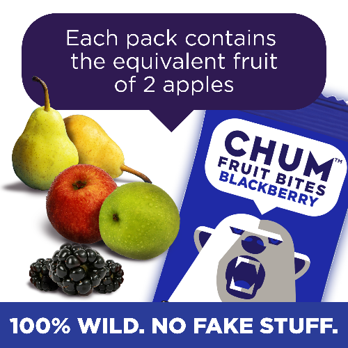 Chum Fruit Bites: Blackberry
